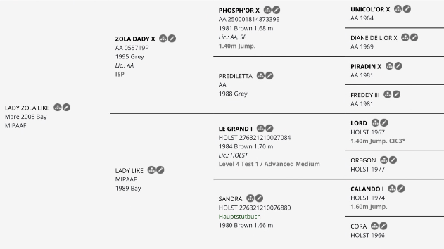 ladyzola genealogia 